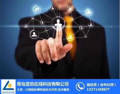 天助易站通雷迅 计算机软硬件技术开发的在线咨询平台